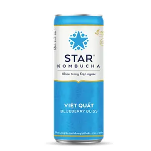 Trà Lên Men Vị Việt Quất, Blueberry Bliss (250ml) - STAR KOMBUCHA