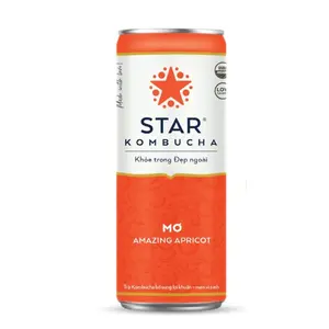 Trà Lên Men Vị Mơ, Amazing Apricot (250ml) - STAR KOMBUCHA