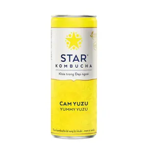 Trà Lên Men Vị Cam Yuzu, Yummy Yuzu (250ml) - STAR KOMBUCHA