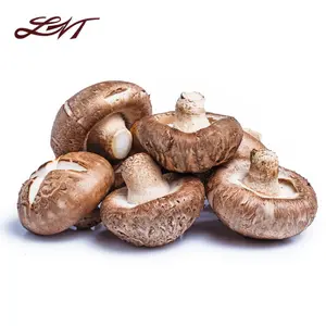 Nấm Đông Cô Nhật - Premium Japan Shiitake Mushroom (200g) - LVT