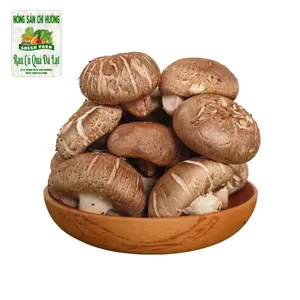 Nấm Đông Cô Tươi - Shiitake Mushroom - NONG SAN CHI HUONG