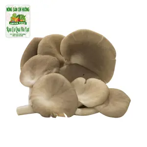 Nấm Bào Ngư - Oyster Mushroom - NONG SAN CHI HUONG