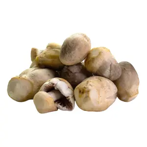 Nấm Rơm - Straw Mushroom - NONBRAND