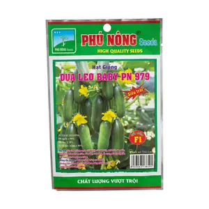 Hạt Giống Dưa Leo Baby PN 979, Baby Cucumber Seeds for Planting (200mg) - PHU NONG SEEDS