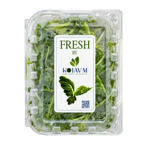 Lá Rocket - 100% Baby Rocket (100g) - KOJAVM