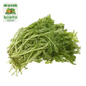Rau Tần Ô (Cải Cúc) - Chrysanthemum Greens - NONG SAN CHI HUONG