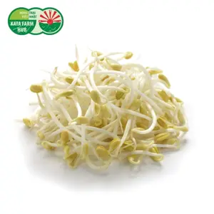 Giá Đậu Xanh - Beansprouts (250g) - KATA FARM HUB