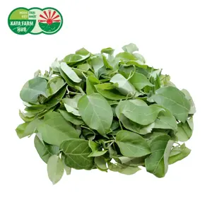 Lá Giang - River Leaves / Soursop Creeper (250g) - KATA FARM HUB
