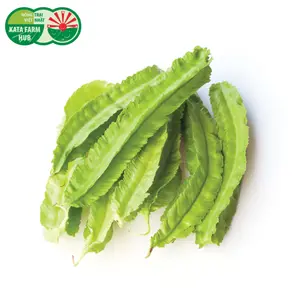 Đậu Rồng - Winged Bean (250g) - KATA FARM HUB