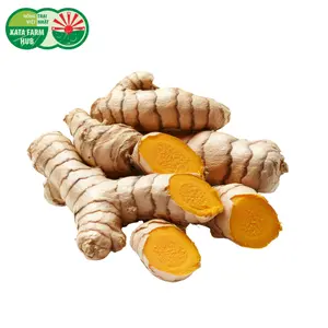 Nghệ - Turmeric (100g) - KATA FARM HUB