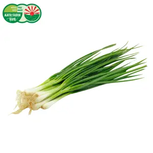 Hành Lá - Spring Onion (50g) - KATA FARM HUB