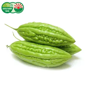 Khổ Qua Rừng - Bitter Gourd - KATA FARM HUB