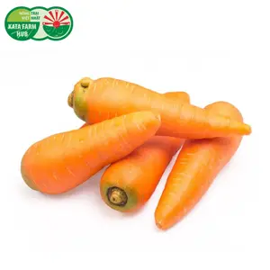 Cà Rốt - Carrot - KATA FARM HUB