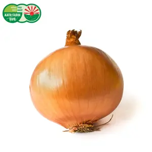 Hành Tây - Brown Onion - KATA FARM HUB