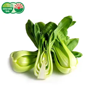 Cải Thìa - Bok Choy - KATA FARM HUB