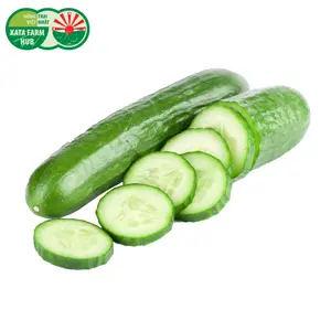 Dưa Leo - Cucumber - KATA FARM HUB