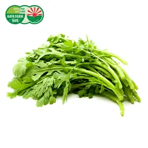 Cải Cúc - Chrysanthemum Greens (250g) - KATA FARM HUB