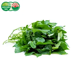 Ngọn Lang - Sweet Potato Leaves (250g) - KATA FARM HUB