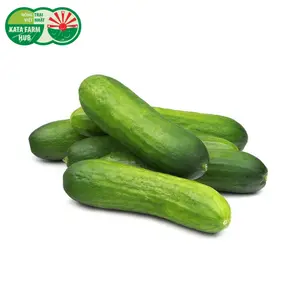 Dưa Leo Baby - Baby Cucumber (300g) - KATA FARM HUB