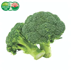 Súp Lơ Xanh - Broccoli - KATA FARM HUB