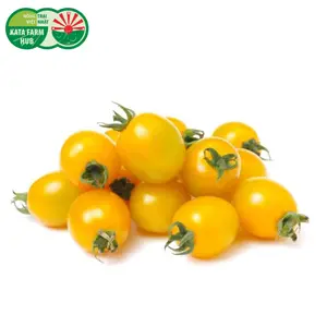 Cà Chua Trái Cây Vàng - Nova Tomatoes - Nature Lux (250g) - KATA FARM HUB