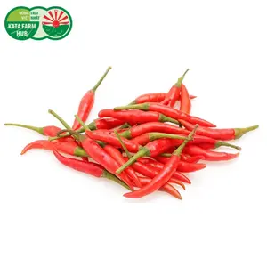 Ớt Chỉ Thiên Đỏ - Red Bird`s Eye Chillies (50g) - KATA FARM HUB