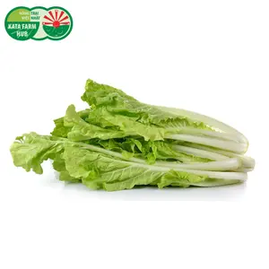 Cải Bẹ Dún - Curved Mustard Leaf (250g) - KATA FARM HUB