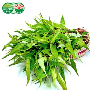 Rau Đay - Jute Leaves (250g) - KATA FARM HUB