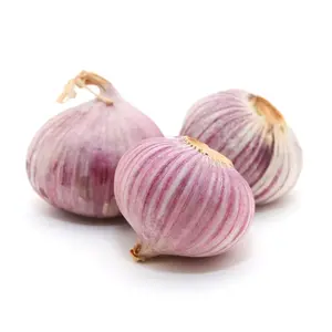 Tỏi Cô Đơn - Solo Garlic - NONBRAND