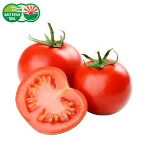 Cà Chua Thường - Tomatoes - KATA FARM HUB