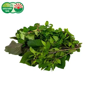 Rau Thơm Hỗn Hợp - Mixed Herbs (100g) - KATA FARM HUB