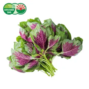 Rau Dền Đỏ - Amaranth (250g) - KATA FARM HUB