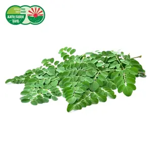 Rau Chùm Ngây - Moringa (200g) - KATA FARM HUB