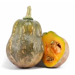 Bí Đỏ Hồ Lô - Goianinha Pumpkin - NONBRAND