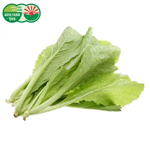 Cải Xanh - Mustard Greens (250g) - KATA FARM HUB