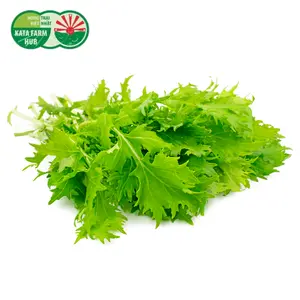 Cải Đuôi Phụng - Mizuna (250g) - KATA FARM HUB