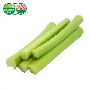Bạc Hà (Dọc Mùng) - Elephant Ear Stem (250g) - KATA FARM HUB