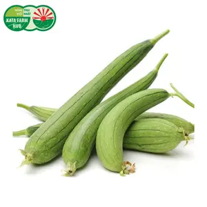 Mướp Hương - Smooth Loofah - KATA FARM HUB