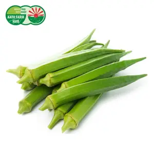 Đậu Bắp Giống Nhật - Japanese Okra (250g) - KATA FARM HUB