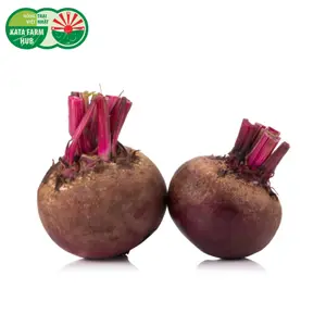 Củ Dền - Beetroot - KATA FARM HUB