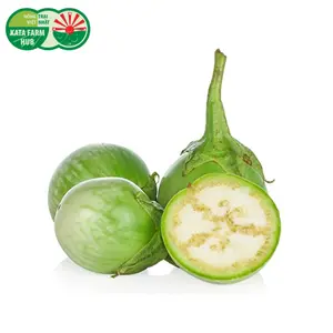 Cà Ngọt - Eggplant Fruit (300g) - KATA FARM HUB