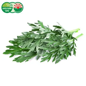 Ngải Cứu - Mugwort (250g) - KATA FARM HUB