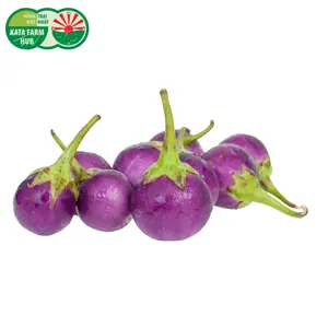 Cà Pháo Tím - Thai Lavender Frog Egg Eggplant (300g) - KATA FARM HUB