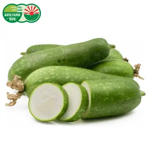 Bí Xanh - Winter Melon - KATA FARM HUB