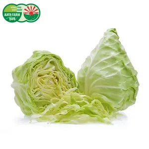Bắp Sú Tim - Heart Shaped Cabbage - KATA FARM HUB