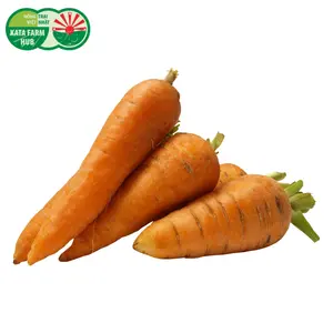 Cà Rốt Giống Nhật - Japanese Carrot - KATA FARM HUB