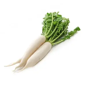 Củ Cải Trắng Đà Lạt - Da Lat White Icicle Radish - NONBRAND
