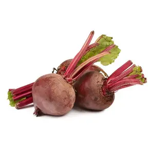 Củ Dền Đà Lạt - Da Lat Beetroot - NONBRAND