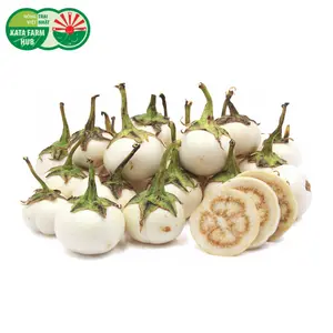 Cà Pháo Trắng - White Thai Eggplant (300g) - KATA FARM HUB