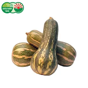 Bí Đỏ Non - Young Pumpkin - KATA FARM HUB